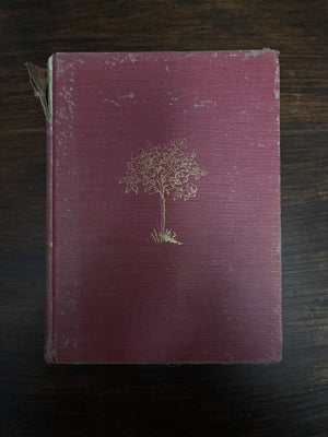 The Secret Garden by Frances Hodgson Burnett Pictures by Tasha Tudor