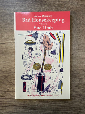 Bad Housekeeping by Sue Limb