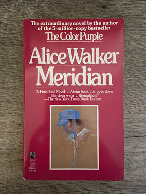 Meridian by Alice Walker